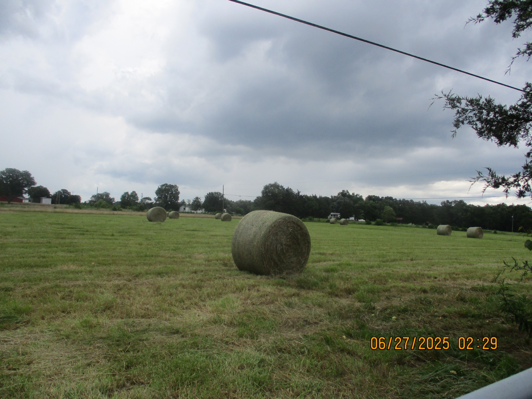 0 Blanton Road Eagleville, TN 37060 - Photo 5 of 22 Gallery Image 5