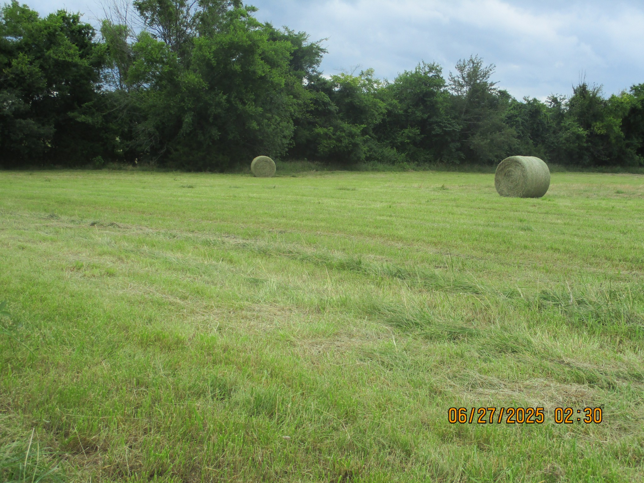 0 Blanton Road Eagleville, TN 37060 - Photo 10 of 22 Gallery Image 10