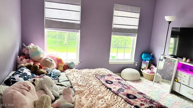 511 Nobottom Road Berea, OH 44017 - Photo 22 of 33 View of bedroom