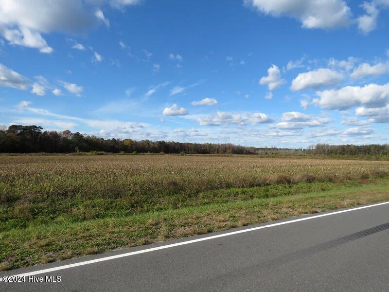 Tbd Whaley Road Kinston, NC 28501 - Photo 11 of 19 IMG_8002