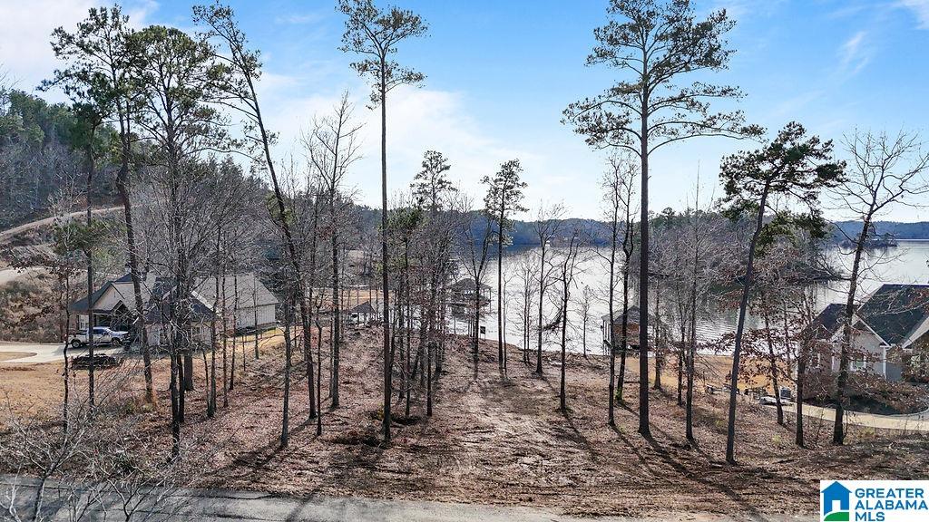 2147 Eagle Mountain Road, Unit 12 Rockford, AL 35136 - Photo 5 of 22