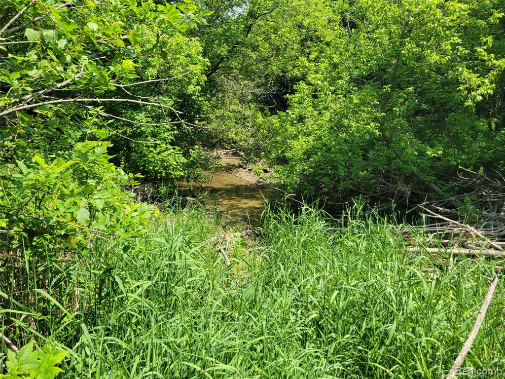 32550 26 Mile Road Chesterfield, MI 48051 - Photo 3 of 5 Gallery Image 3