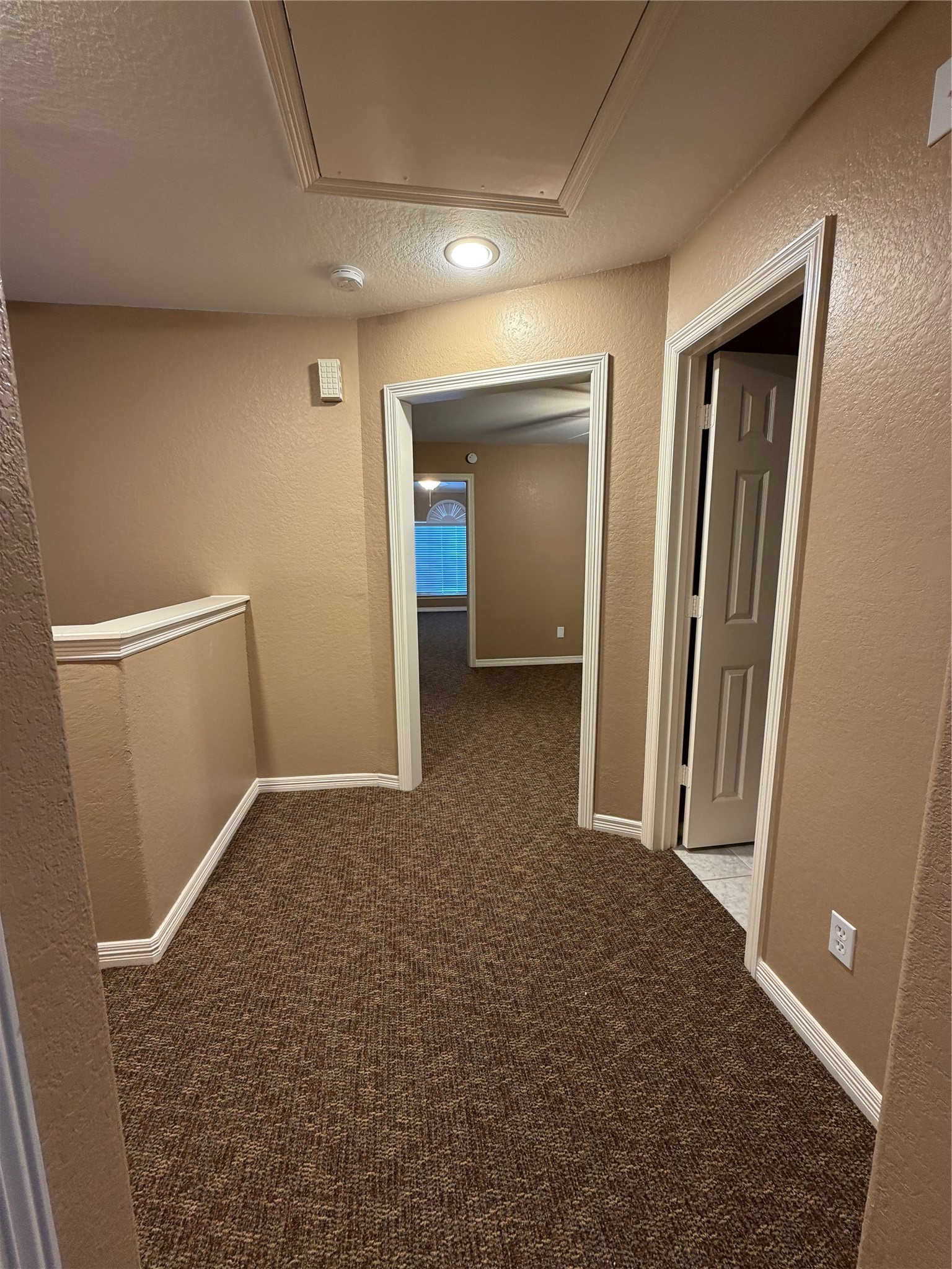 9110 Prairie Trails Drive Spring, TX 77379 - Photo 20 of 34