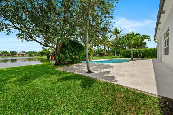 a view of a park with large trees
