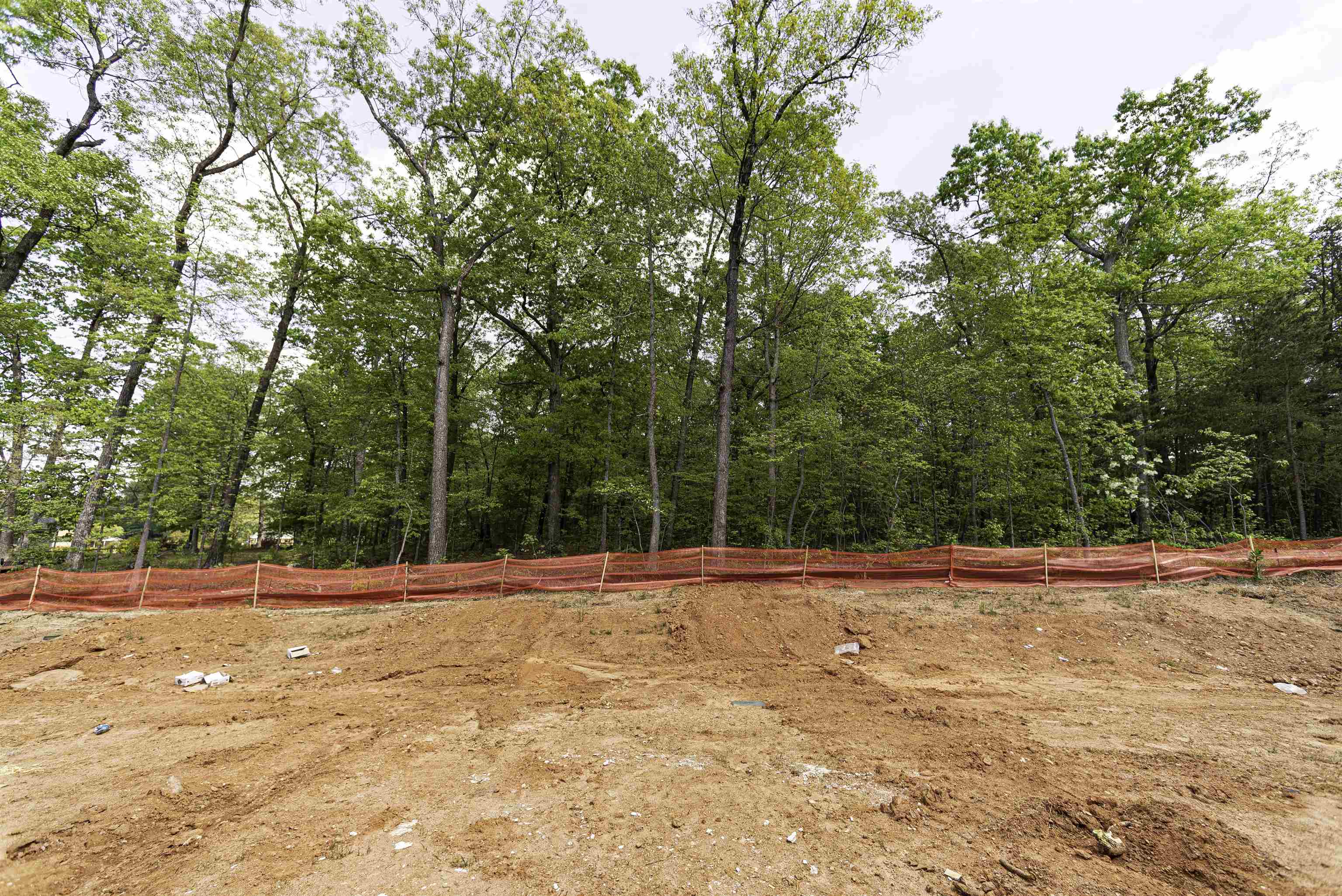 683 Millwright Way Greer, SC 29651 - Photo 9 of 35
