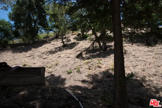a view of a yard with plants and trees