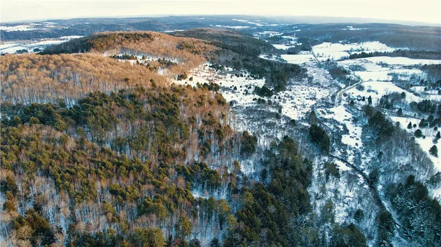 $360,000 | 0 County Road 15, Mount Vision, NY 13810