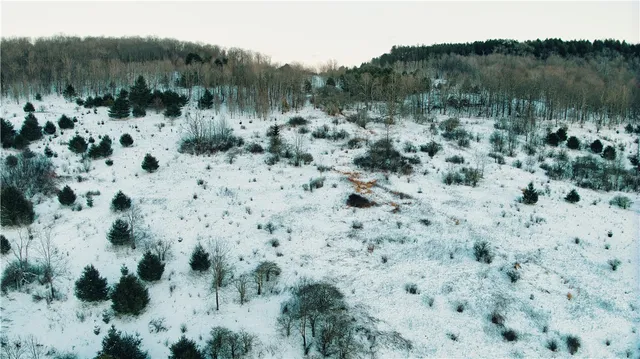 $360,000 | 0 County Road 15, Mount Vision, NY 13810