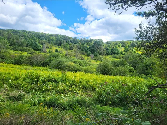 $360,000 | 0 County Road 15, Mount Vision, NY 13810
