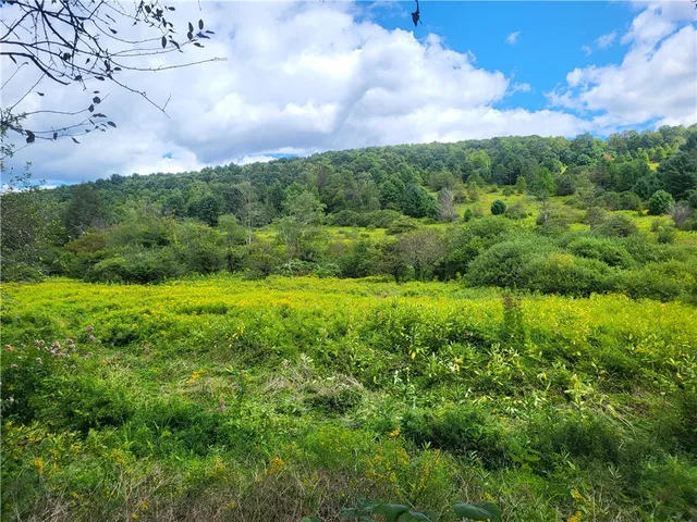 $360,000 | 0 County Road 15, Mount Vision, NY 13810