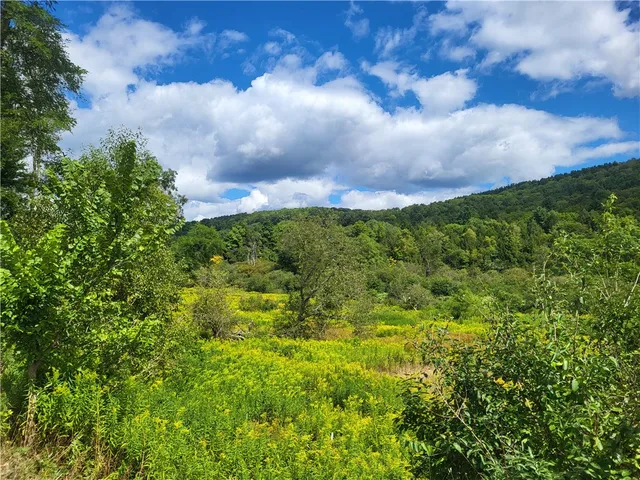 $360,000 | 0 County Road 15, Mount Vision, NY 13810