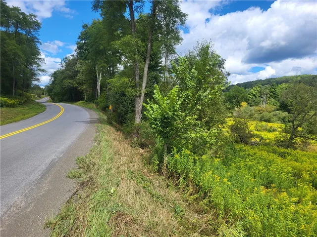 $360,000 | 0 County Road 15, Mount Vision, NY 13810