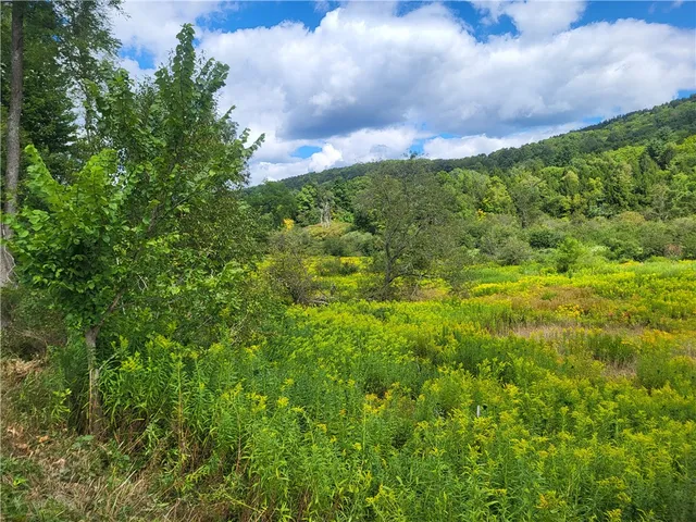 $360,000 | 0 County Road 15, Mount Vision, NY 13810