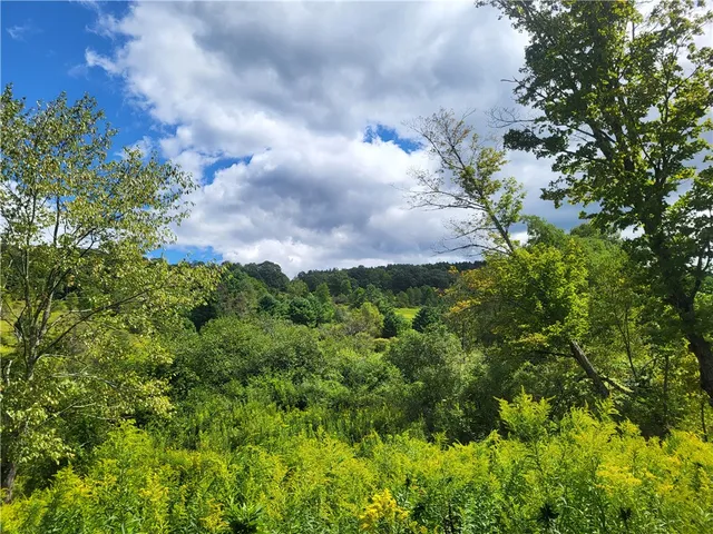 $360,000 | 0 County Road 15, Mount Vision, NY 13810