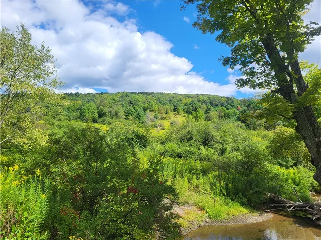 $360,000 | 0 County Road 15, Mount Vision, NY 13810
