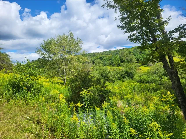 $360,000 | 0 County Road 15, Mount Vision, NY 13810