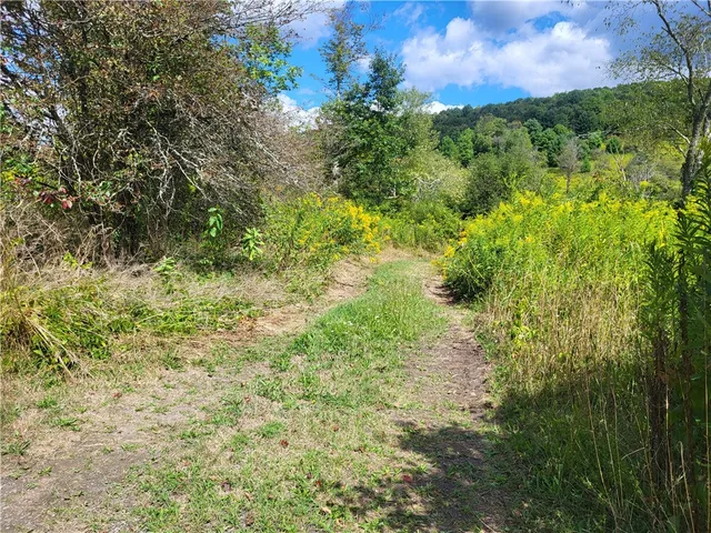 $360,000 | 0 County Road 15, Mount Vision, NY 13810