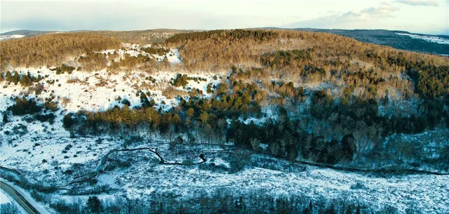 $360,000 | 0 County Road 15, Mount Vision, NY 13810