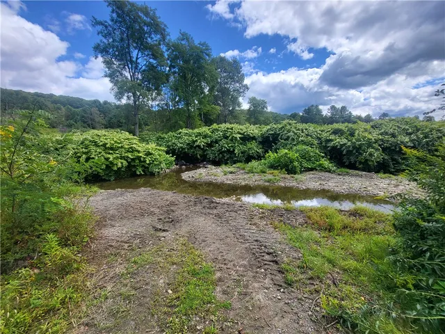 $360,000 | 0 County Road 15, Mount Vision, NY 13810