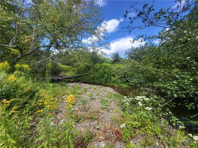 $360,000 | 0 County Road 15, Mount Vision, NY 13810