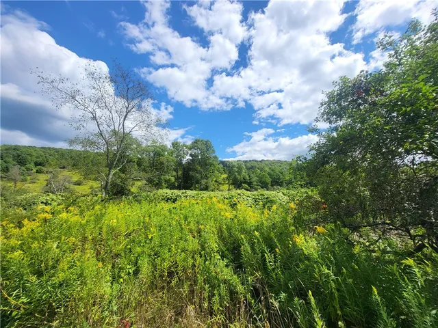 $360,000 | 0 County Road 15, Mount Vision, NY 13810