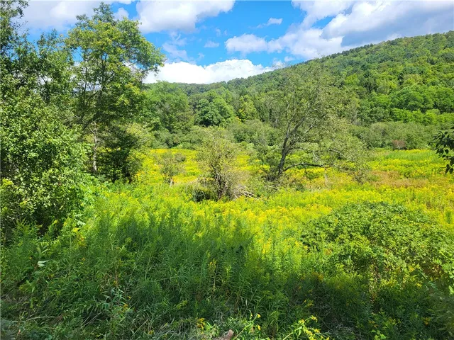 $360,000 | 0 County Road 15, Mount Vision, NY 13810