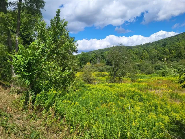 $360,000 | 0 County Road 15, Mount Vision, NY 13810