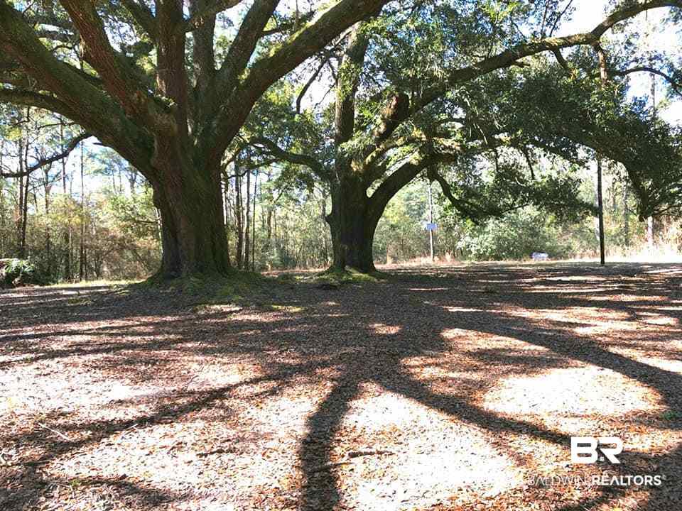 8295 Dixon Road Bay Minette, AL 36507 - Photo 7 of 8 Gallery Image 7