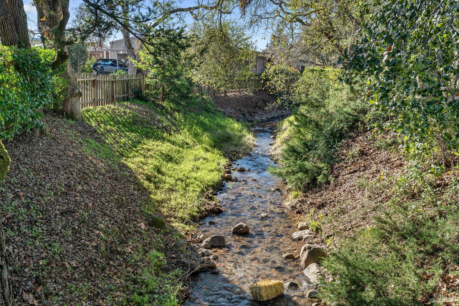 192 Mosshill Court Santa Rosa, CA 95409 - Photo 27 of 31 a view of a garden with large trees