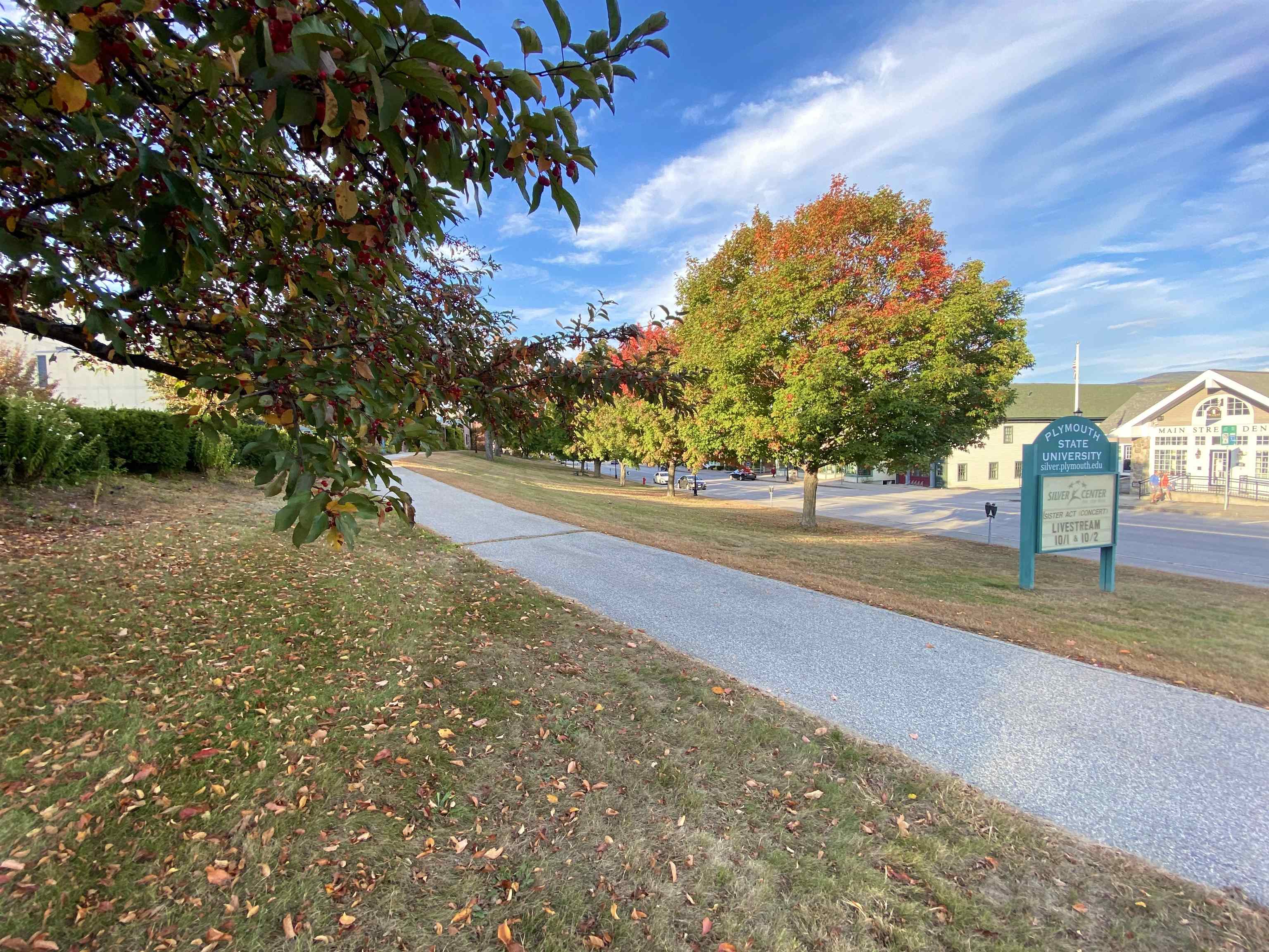 9 Blueberry Hill Road, Unit 8 Plymouth, NH 03264 - Photo 34 of 38