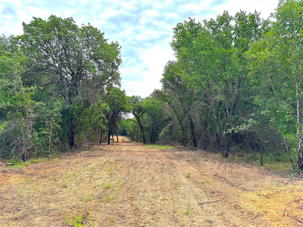 Tbd Turpin Lake Road Poolville, TX 76487 - Photo 4 of 26