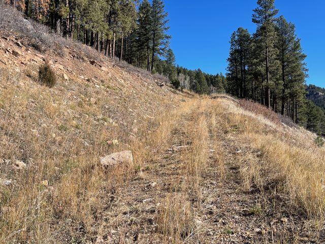 Tbd Sky Mountain Ranch Road Placerville, CO 81430 - Photo 3 of 11 IMG_4290