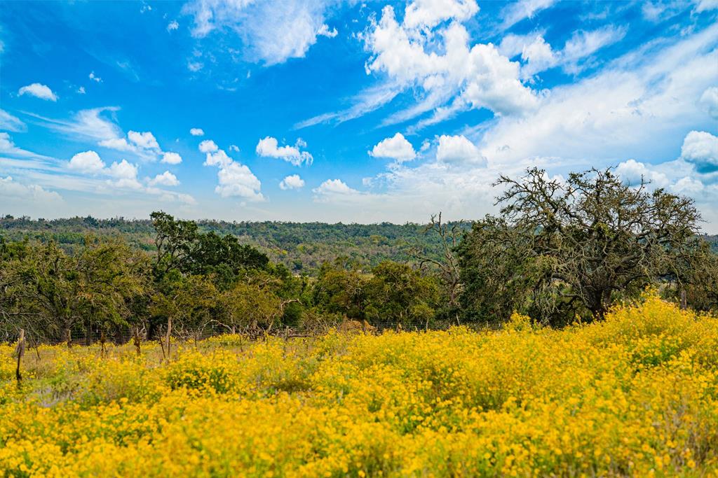 Lot 14 Reservation Road, Unit 14 Harper, TX 78631 - Photo 1 of 6 Main View