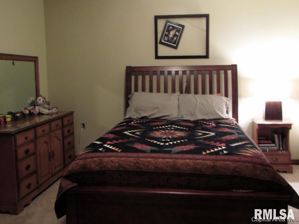 492 Pheasant View Avon, IL 61415 - Photo 26 of 36