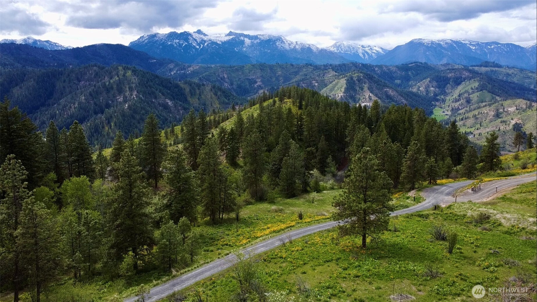 a view of a lush green hillside and a yard
