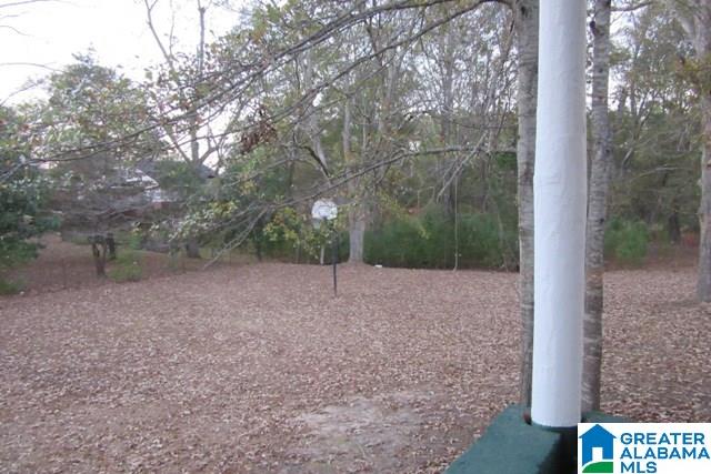 9241 Jones Street Thorsby, AL 35171 - Photo 47 of 50