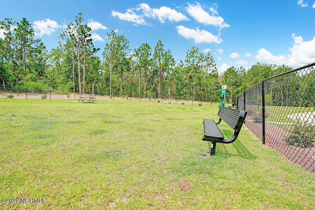 1124 Burled Oak Rdg Loop Southeast, Unit LOT 36 Bolivia, NC 28422 - Photo 28 of 38 Dog Park
