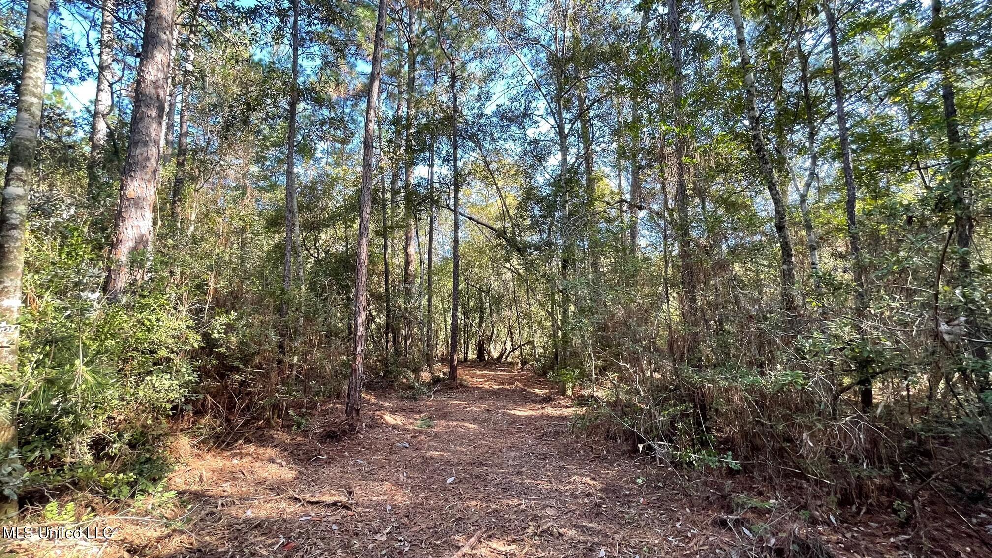 South Swan Road Gulfport, MS 39503 - Photo 13 of 16 IMG_5080