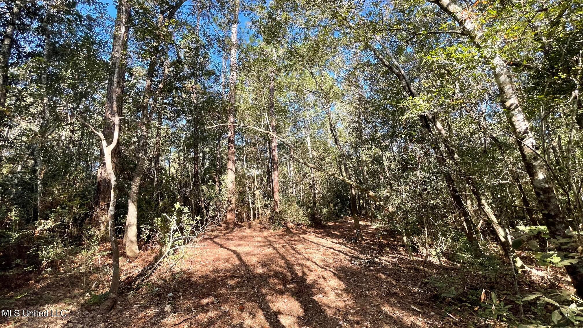 South Swan Road Gulfport, MS 39503 - Photo 14 of 16 IMG_5081