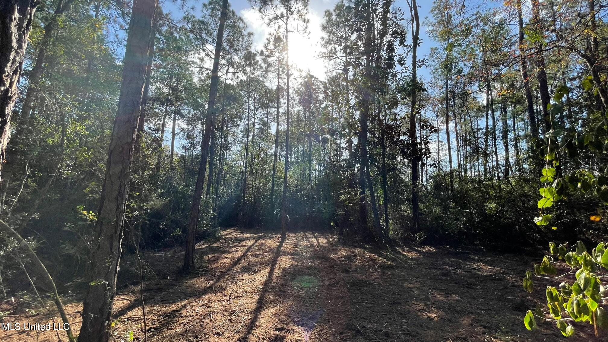South Swan Road Gulfport, MS 39503 - Photo 2 of 16 IMG_5083