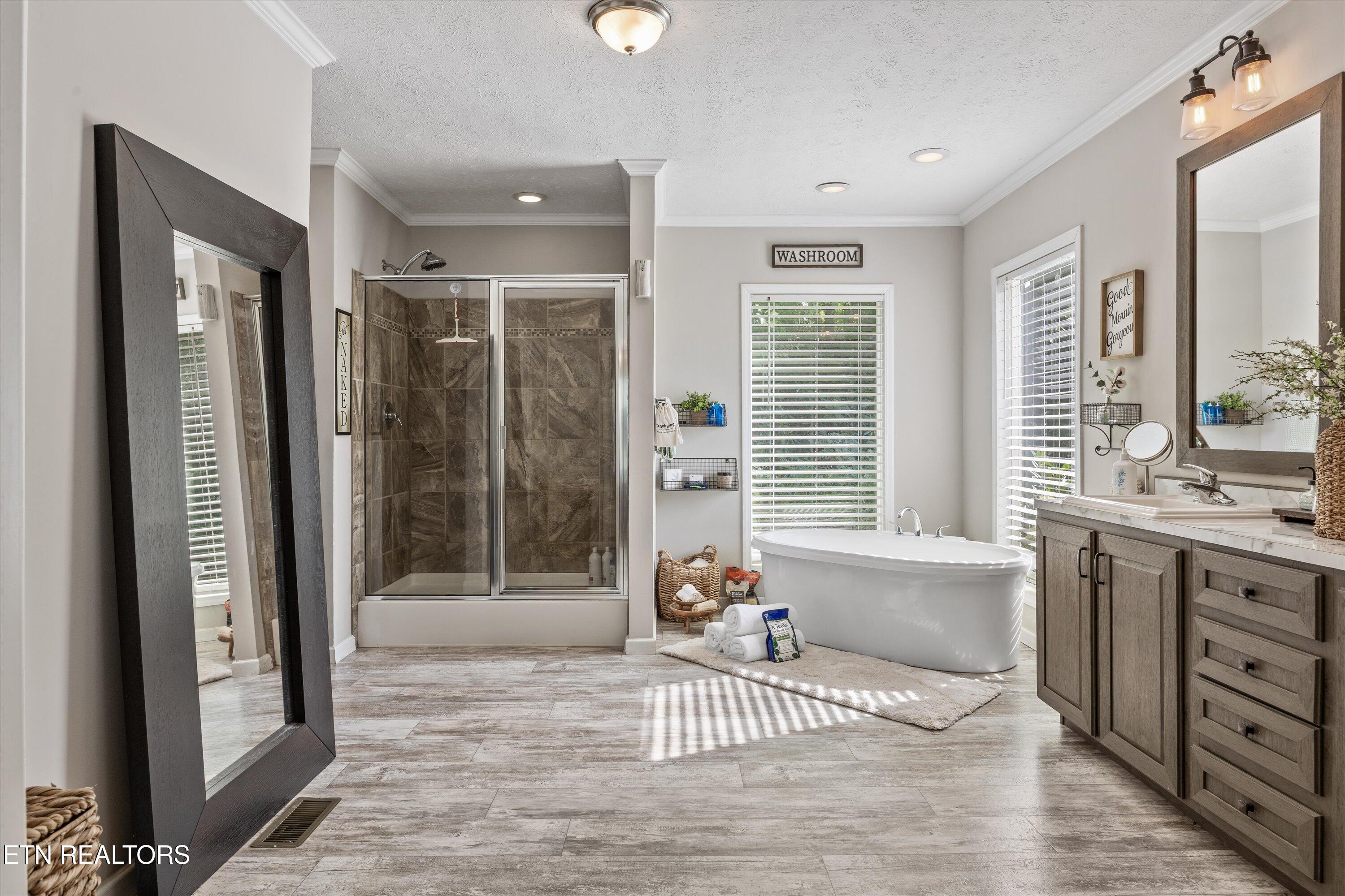 358 Webb Road Townsend, TN 37882 - Photo 13 of 47 Primary Bathroom