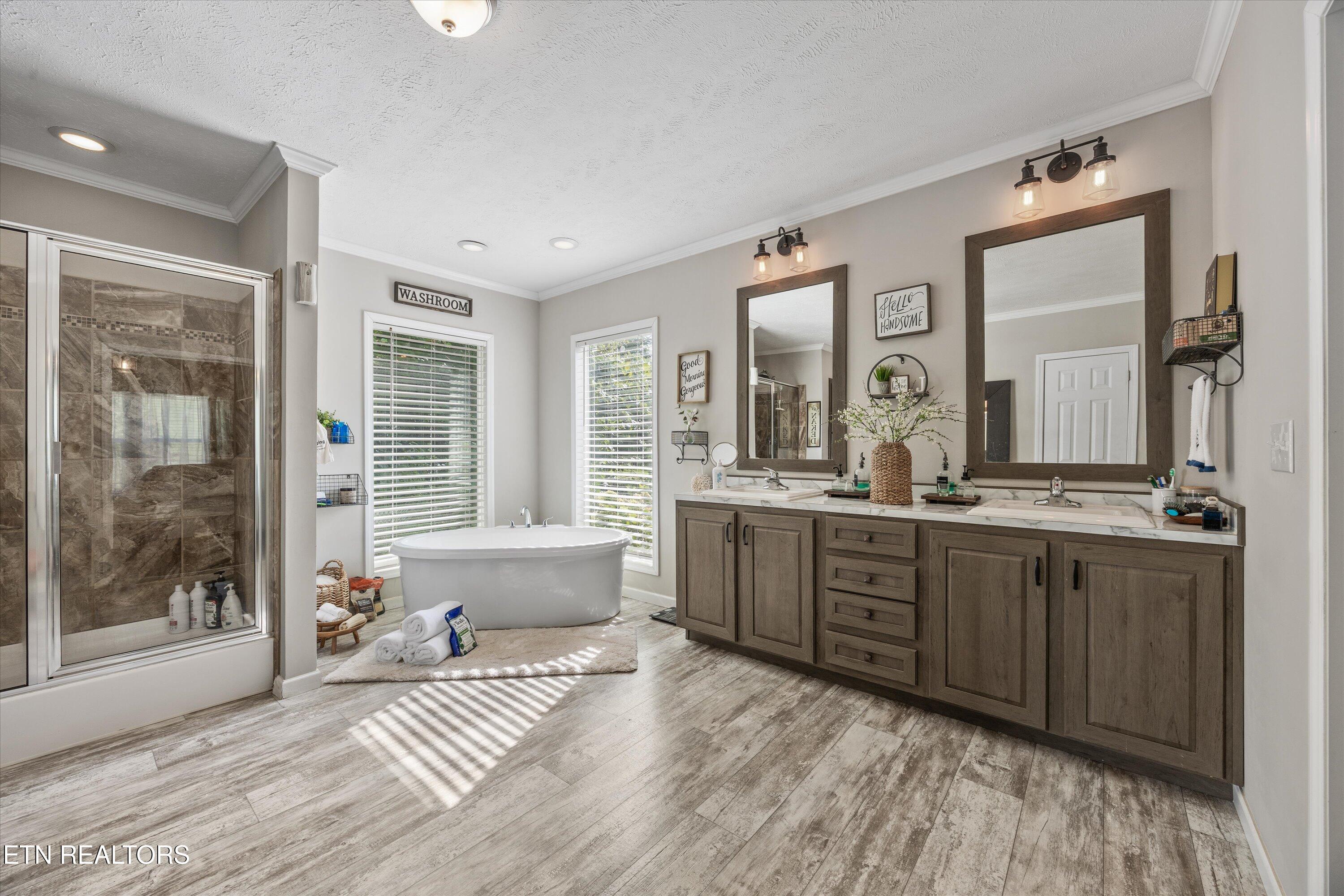 358 Webb Road Townsend, TN 37882 - Photo 14 of 47 Primary Bathroom