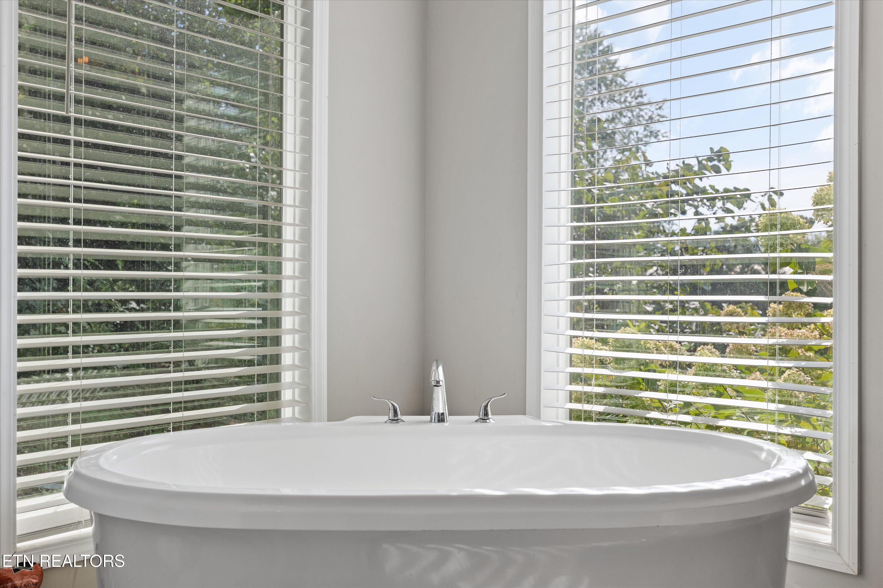 358 Webb Road Townsend, TN 37882 - Photo 15 of 47 Primary Bath