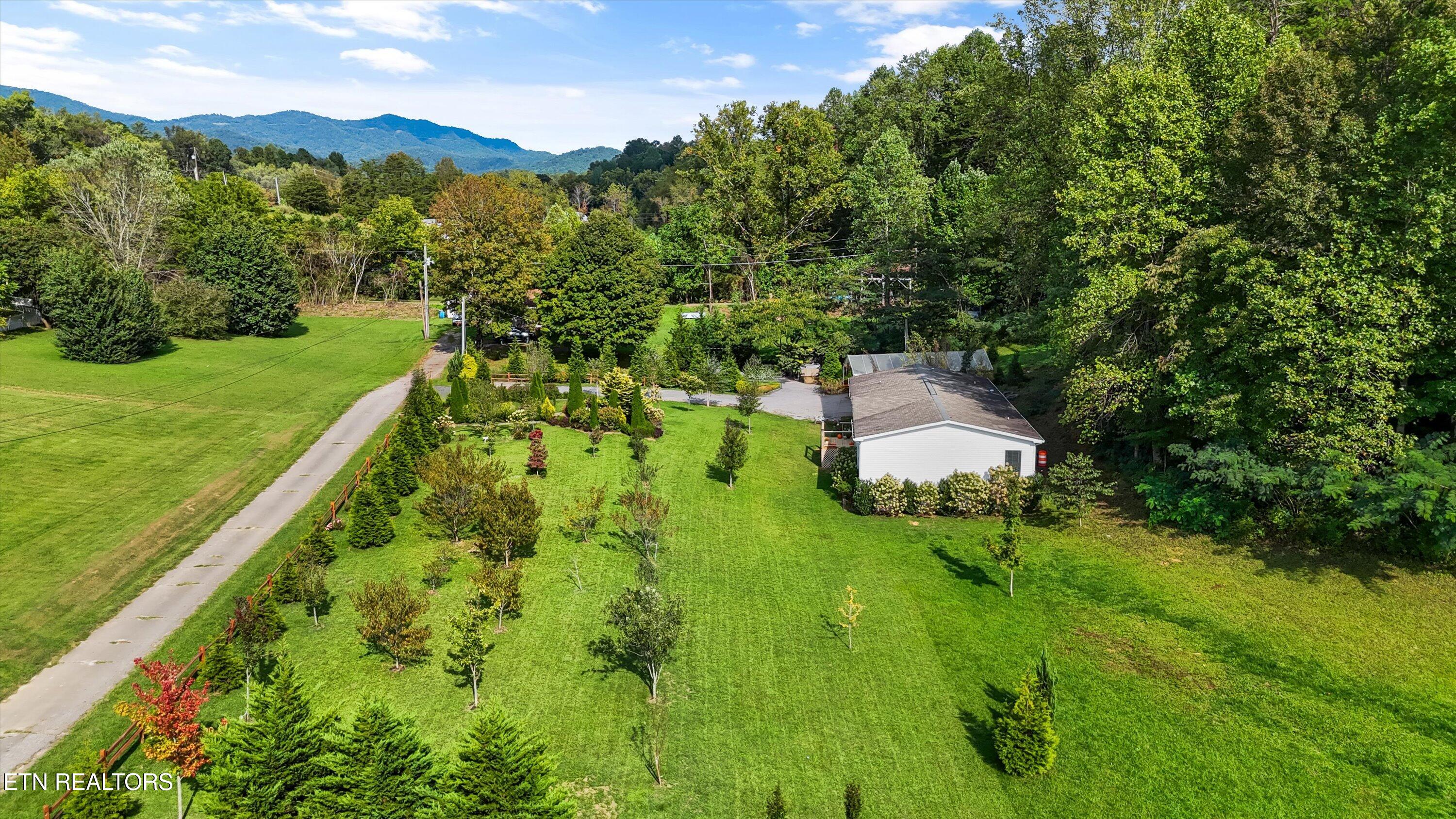 358 Webb Road Townsend, TN 37882 - Photo 41 of 47 Professionally Landscaped