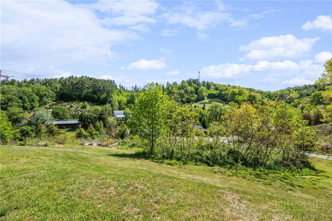 190 Benfield Road Crossnore, NC 28657 - Photo 46 of 50