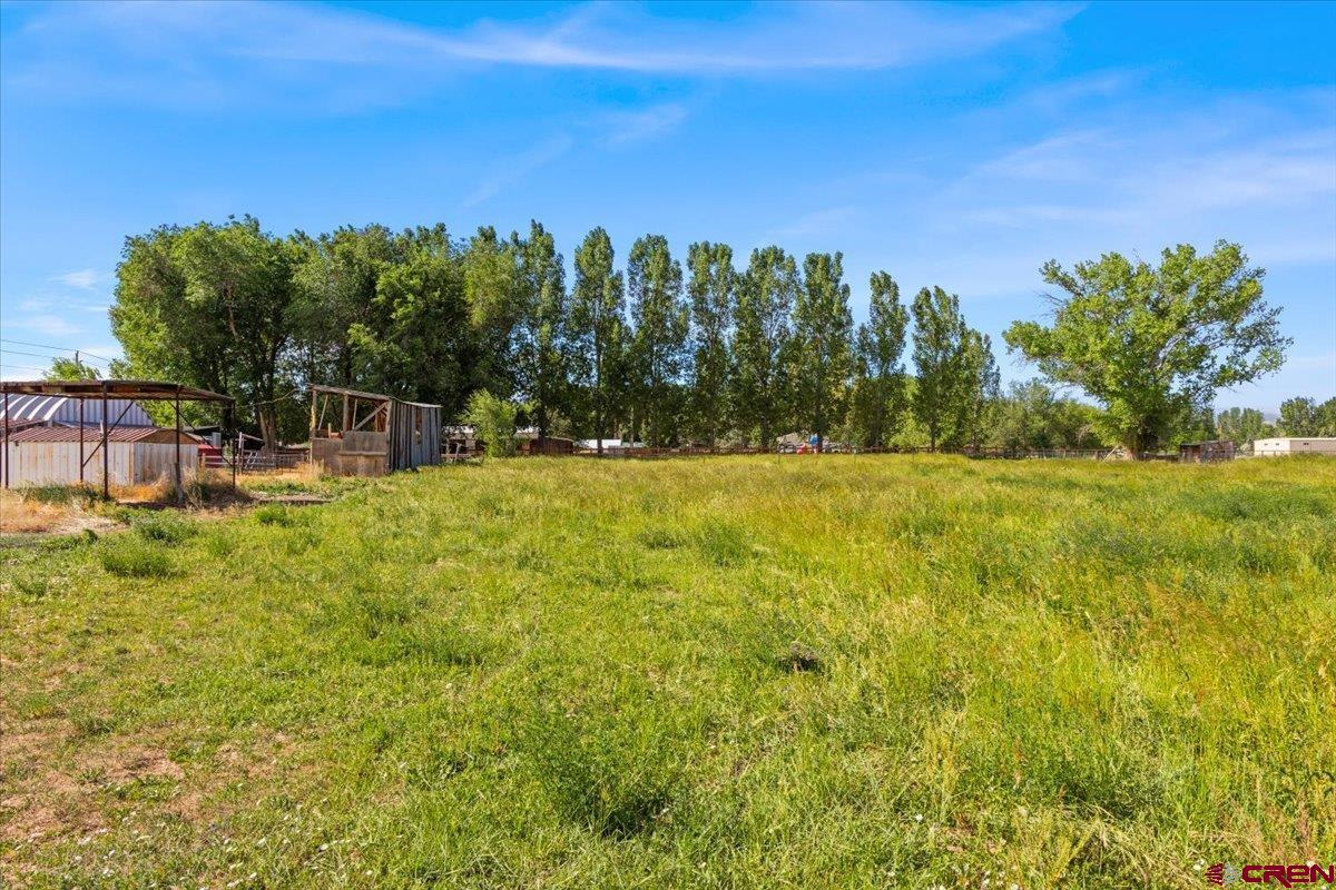 14809 6175th Road Montrose, CO 81403 - Photo 35 of 36