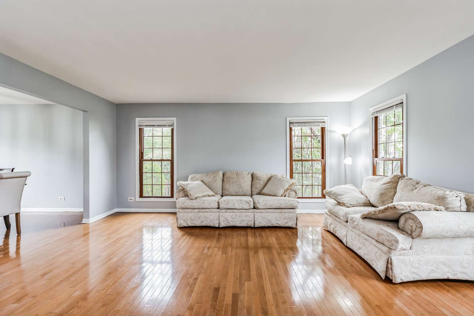 1113 Stonegate Court Bartlett, IL 60103 - Photo 4 of 25 a living room with furniture and a wooden floor