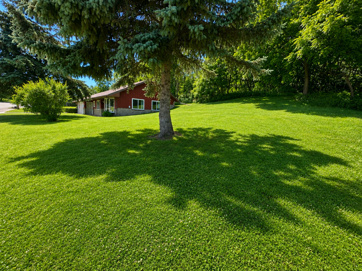 718 Willow Street Faribault, MN 55021 - Photo 14 of 14