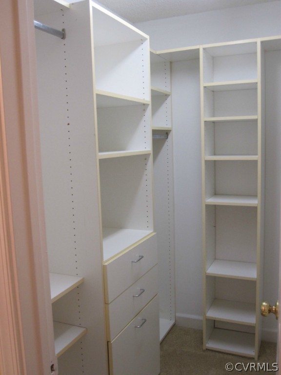 2913 Cove Ridge Trace Midlothian, VA 23112 - Photo 14 of 24 a view of an empty walk in closet