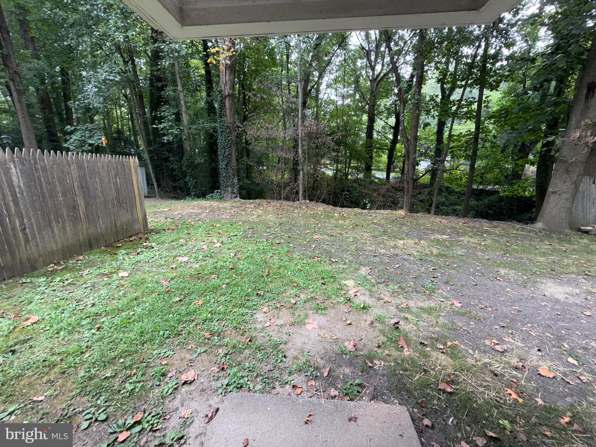 65 Springhill Road Mantua, NJ 08051 - Photo 10 of 10 a fire hydrant in the middle of a field